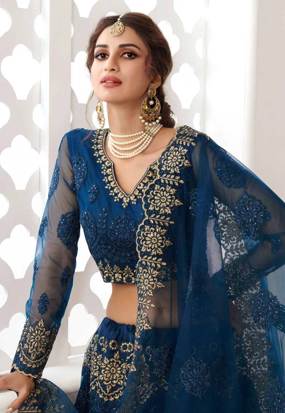 Blue Multi Embroidered Lehenga Choli