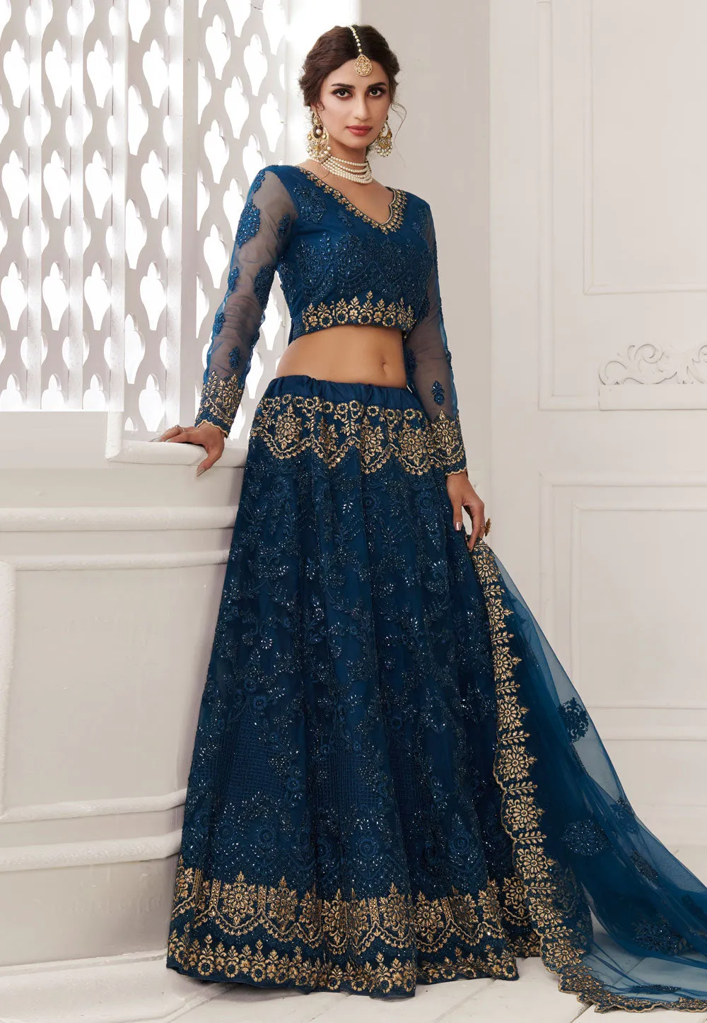 Blue Multi Embroidered Lehenga Choli