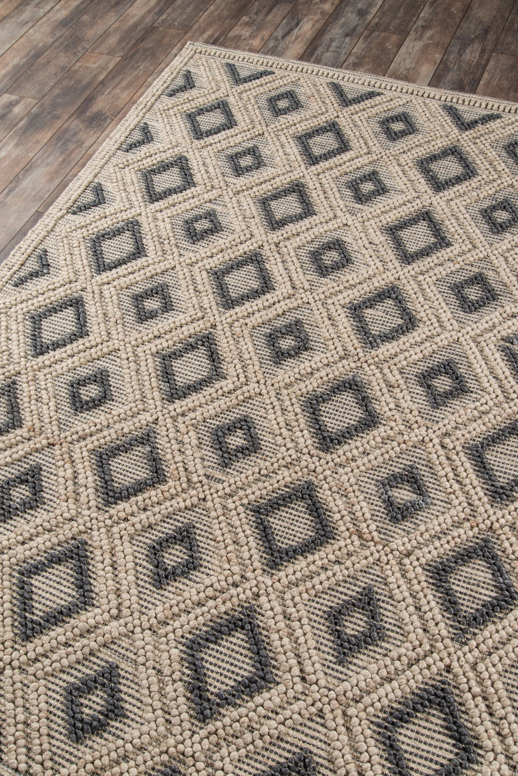 Contemporary Hand Woven Beige Rug