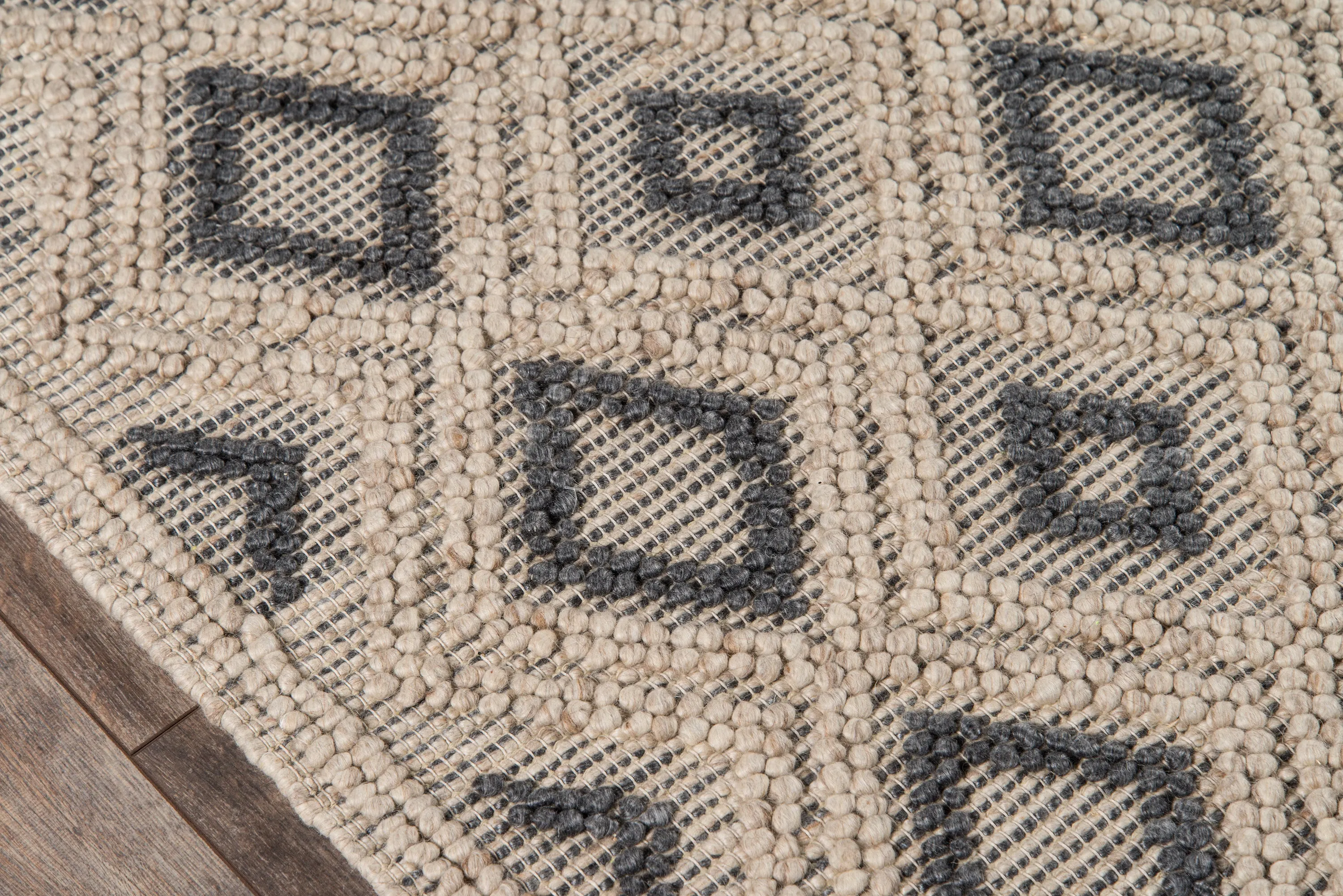 Contemporary Hand Woven Beige Rug