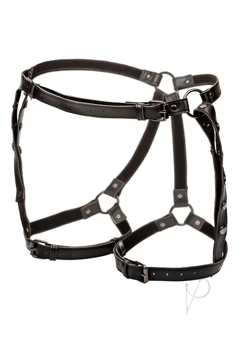 Euphoria Coll Riding Thigh Harness